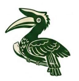 Great Indian Hornbill